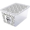 Branq Sandėliavimo dėžė X box dots 30L Skaidri