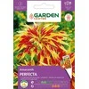Burnočių, nendrių sėklos Garden Center, PERFECTA, 0,4 g