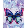 Centrum Rinkinys tapybai ant drobės pagal skaičius BUTTERFLY, 300x400mm