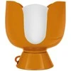 Osram Stalo šviestuvas COROLLE, E14, oranžinis