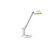 Standart STALINĖ LED ŠVIESTUVĖ GRATI BL1855-C BALTA