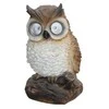 Dārza apdare "Pūce" Garden Center NF17436, 12 cm x 12 cm x 20 cm, brūna