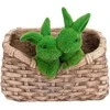 Affek Design Sodo puošmena „Zuikiai“ Garden Center QN24ZR06, 32 cm x 25,5 cm x 28 cm, ruda/žalia