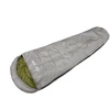 DAŽAI MOTIP 955310 SIDABRINIS METALIKAS 12ML