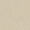 Jeger Gipso valiklis „PLASTER HUNTER STIUK CARMEL“ 2L