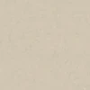 Jeger Gipso valiklis „PLASTER HUNTER STIUK CARMEL“ 2L
