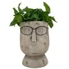 Dekoratīvais puķu pods "Seja" Garden Center NFQ2202043, 25 cm x 25 cm x 32 cm, pelēka
