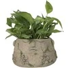 Dekoratīvais puķu pods "Seja" Garden Center NFQ210021Z, 31 cm x 31 cm x 15.5 cm, pelēka
