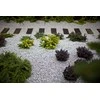 Dekoratīvās šķembas Garden Center GRANITE, 16-22mm, pelēka, 20 kg