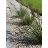 Dekoratīvās šķembas Garden Center LASTRYKO, 8-16mm, 20 kg
