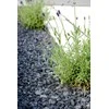 Dekoratyvinės drožlės Garden Center NERO EBANO, 12-16 mm, 20 kg