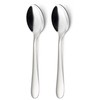Domoletti HANGER 2 PCS COFFEE SPOON SEGNO