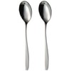 Domoletti HANGER 2 PCS COFFEE SPOON WIND