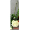 Domoletti Dirbtinė rožė balta 49CM