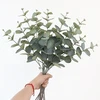 Domoletti Šaka Arti Eukaliptas 80CM