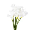 Dirbtinės gėlės. kalijos Domoletti. balta. 32 cm 9vnt