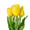 Tulip Domoletti dirbtinių gėlių puokštė tulpės 5 vnt. 32 CM