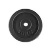Svarmenų diskas Outliner, 10 kg