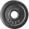 DISKINIS KETAUS SVARMUO OUTLINER YLPS36A 1.25KG 31MM