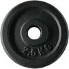 Outliner 2.5KG CAST IRON PLATE