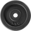 Outliner Sourcing Tiekiama 5kg ketaus plokštė su dviem rankenomis