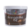 Dispersiniai dažai Pentacolor Professional Matt, baltos spalvos, 10 l