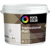Dispersiniai dažai Pentacolor Professional Mat. balti. 3 l
