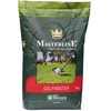 Dlf Trifolium Vejos sėklos DLF Golfmaster, 10 kg