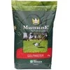 Dlf Trifolium Vejos sėklos DLF Golfmaster, 10 kg