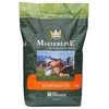 Dlf Trifolium Vejos sėklos DLF Sportmaster, 10 kg