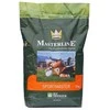 Dlf Trifolium Vejos sėklos DLF Sportmaster, 10 kg