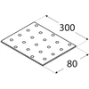 DMX Montavimo plokštė PP11 300x80x2mm