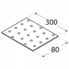DMX Montavimo plokštelė, 300 x 80 x 2 mm