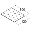 DMX Plokštelė PP21 300x120x2mm montavimo plati