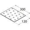 DMX Plāksne PP21 300x120x2mm montāžas plata