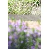 Lovos apvadas Garden Center Akmens spalvos, 237 cm x 20 cm, pilkas, 3 vnt.