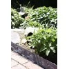 Lovos apvadas Garden Center Akmens spalvos, 237 cm x 20 cm, rudas, 3 vnt.