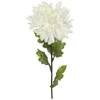 Domoletti Dirbtinė chrizantema. 71 cm