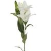 Domoletti Dirbtinė lelija. 80 cm