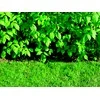 Du_Pont BARJERAS ŠAK PLANTEXROOTBARRIER 0.7X5M