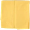 Dunlop - Mikropluošto lako poliravimo šluostė 35x35 cm