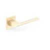 Metal_Bud Durų rankena, vidaus K FIT Brushed Gold QUANTA K FIT, aukso