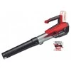 Akumuliatorinis lapų pūstuvas Einhell GP-LB 18/200 Li E-Solo; 18 V (be akumuliatoriaus ir pakrovėjo)