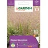 Eragroste Garden Center sėklos, 0,5 g