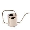 Esschert Des Lejkanna TG45. chromuotas. 1,5 l