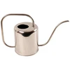 Esschert Des Lejkanna TG45. chromuotas. 1,5 l