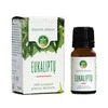 Ēteriskā eļļa Mėta, 10 ml