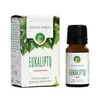 Ēteriskā eļļa Mėta, 10 ml