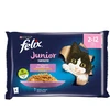 FELIX KONS ĖDAL KAT JUNIOR KONS.SU PAD 4X85G