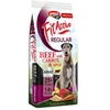 Fit Active Sourcing sausas FOOD FITACTIVE 15KG REGULAR jautiena